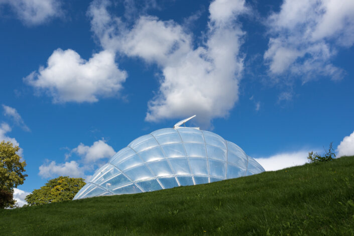 Thomas Illemann arkitekturfotografi architecture photography danmark denmark aarhus væksthus botanisk have C. F. Møller Søren Jensen Rådgivende Ingeniørfirma