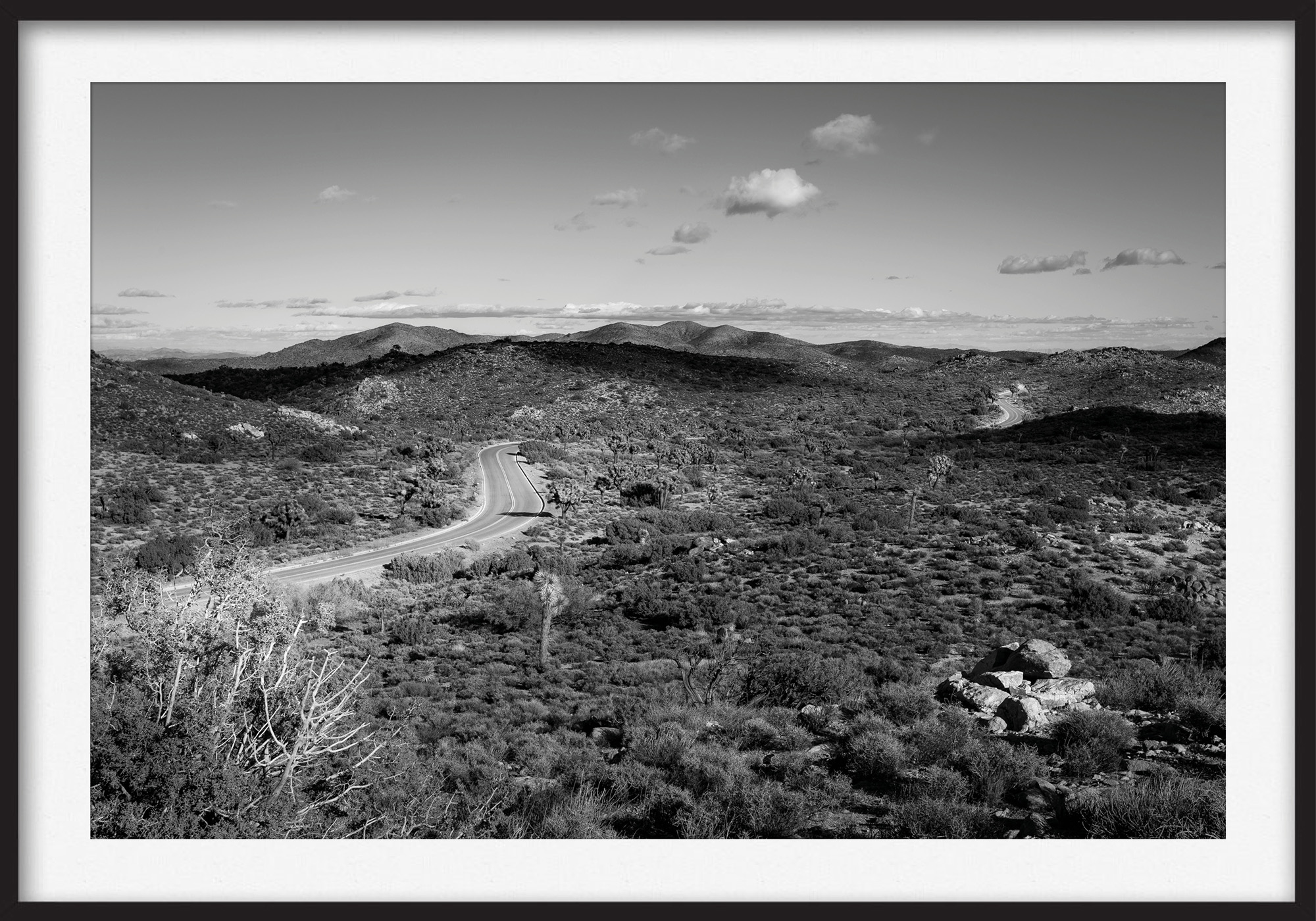 Thomas Illemann arkitekturfotografi photography landscape landskab california joshua tree road black white sort hvid
