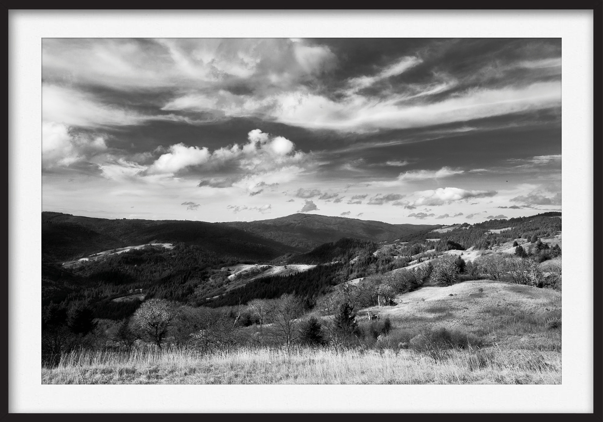 Thomas Illemann arkitekturfotografi photography landscape landskab california black white sort hvid