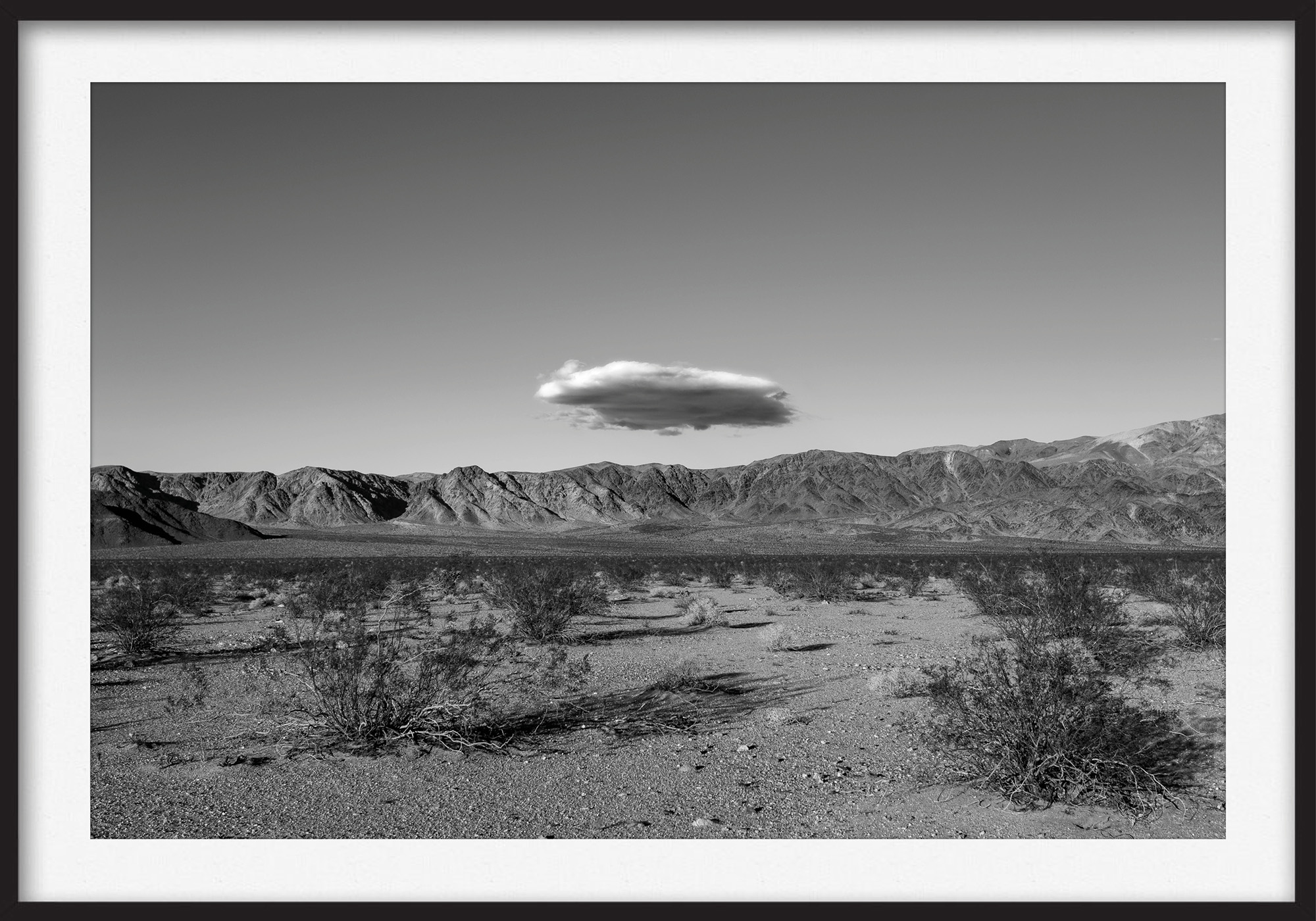Thomas Illemann arkitekturfotografi photography landscape landskab california black white sort hvid